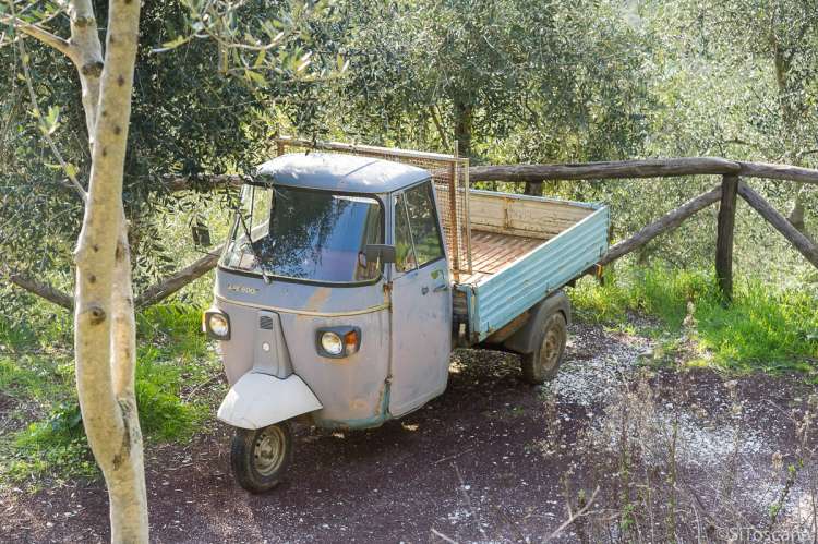 Bildet viser en Ape-bil som står parkert ved en olivenlund i Montemagno utenfor Pisa.