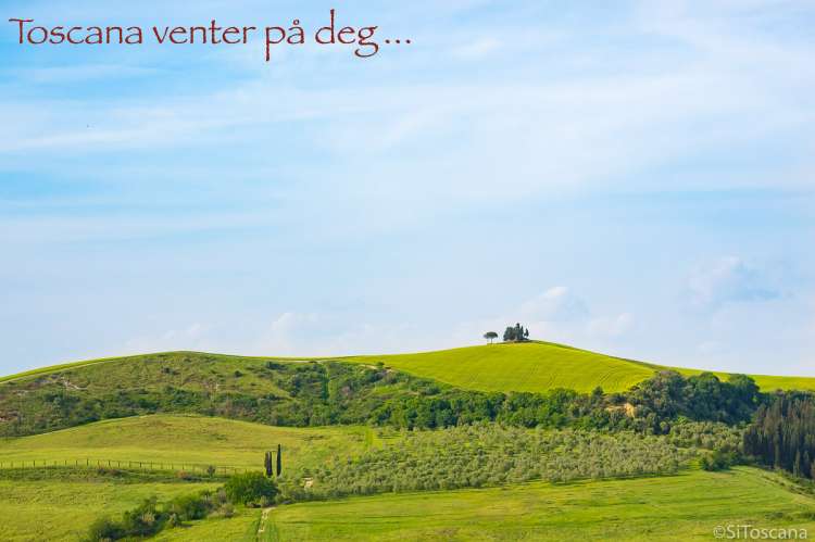 Bildet viser et vakkert bølgende landskap med grønne åser og blå himmel. Bildet er tatt i Toscana en dag i mai.