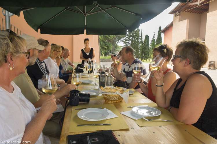 Bildet viser en gruppe på vinsmaking på vingården Torre a Cenaia i Toscana.