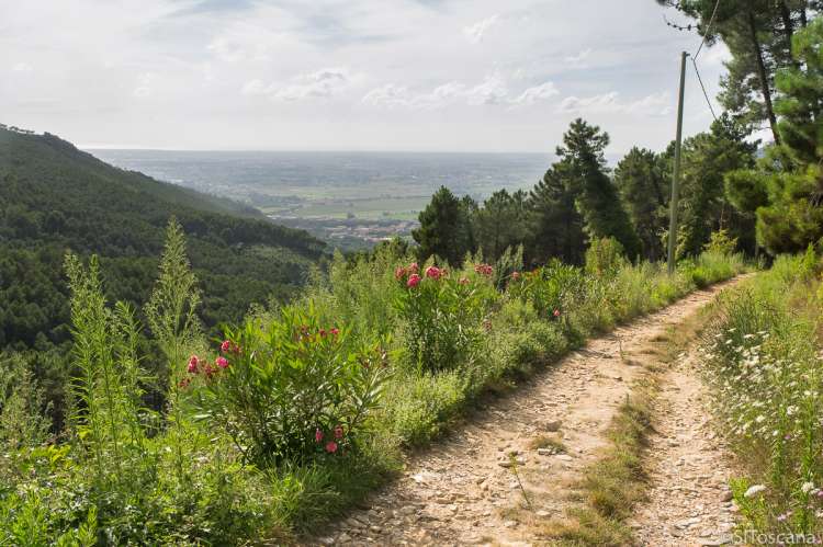 Bildet viser utsikten fra en av turveiene i Monte Pisano, like utenfor Pisa. Utsikten viser Middelhavet, Pisa og Livorno.