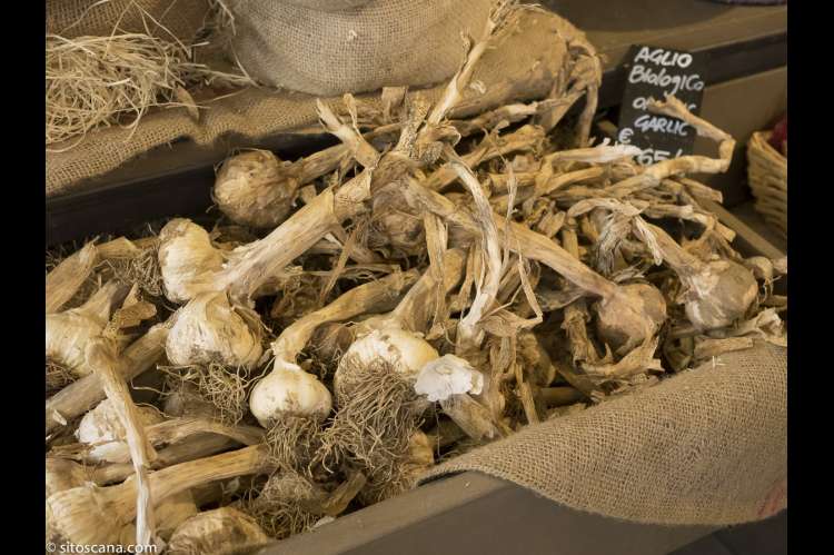 Bildet viser hvitløk lagt opp for salg i Matmarkedet i Firenze – Mercato Centrale