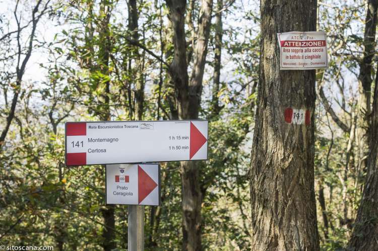 Bildet viser skilt for merkede turstier. SiToscana formidler ferieboliger som egner seg når man vil nyte friluftsliv med gåturer og sykkelturer. 