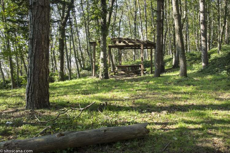 Bildet viser en rasteplass i fjellet utenfor Pisa, i Toscana. SiToscana formidler ferieboliger som egner seg når man vil nyte friluftsliv med gåturer og sykkelturer. 