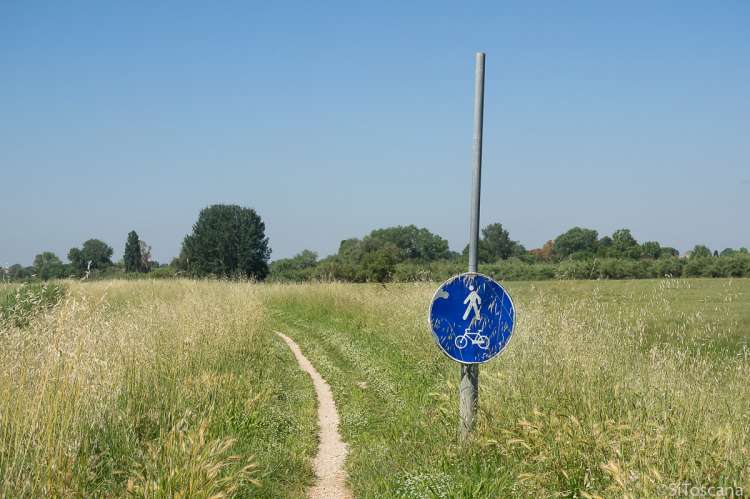 Bildet viser en gang- og sykkelvei ved diket langs Arno, elva som går fra Firenze til Pisa.