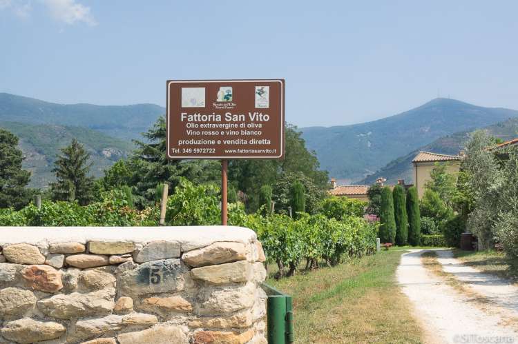 Bildet viser porten og skiltet til vingården Fattoria San Vito i sentrum av Calci, like utenfor Pisa. På skiltet står det at de produserer og selger olivenolje og vin.