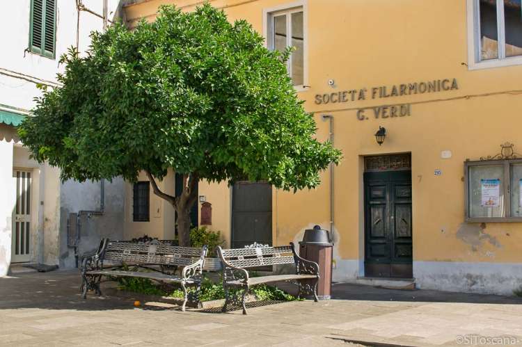 Bildet viser to benker under et tre i hovedgata Via Roma i Calci, like utenfor Pisa.
