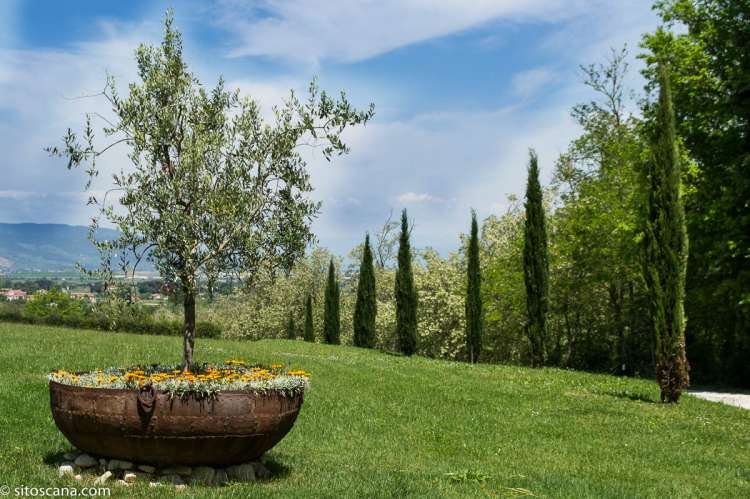 Store grønne uteområder med sypresser og blomster på feriebostedet Volpaia ved Pisa. Foto.