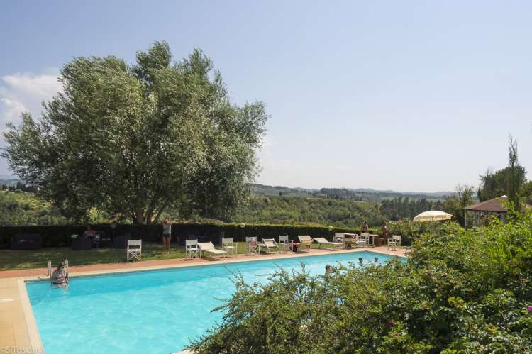 Utsikt fra bassenget. Bassenget med hekk og trær på vingården Podere Cenni utenfor San Miniato. Foto.