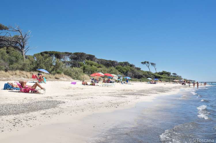 Fra Casa Mancini er det knapt 1 km til nærmeste strand. Det er flere strender i nærområdet. Bildet viser sandstrand ved sjøen i badeby sør for Pisa i Italia.
