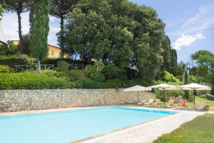 Et av de tre husene på gården skimtes over bassenget. Foto som viser plasseringen av bassenget nedenfor feriehusene på vingården.