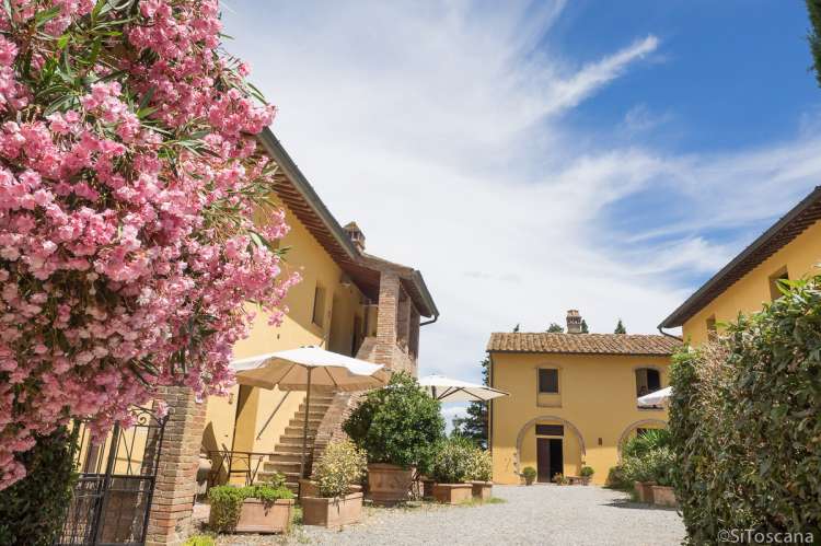 Piazza'en på vingården Collina med innganger til ferieleiligheter og restaurant. Bilde av blomsterflor på plassen. Foto. 