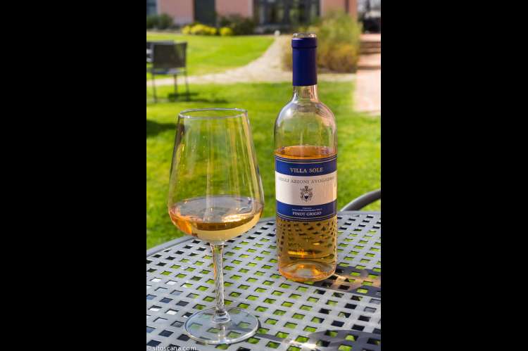 Bilde av en av vinene på vingården ved Pisa. Gjestene inviteres til omvisning og vinsmaking.