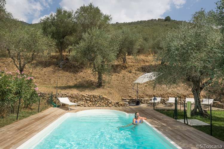 Bildet viser basseng i olivenlunden til ferieboligen Villa Noce i Italia.