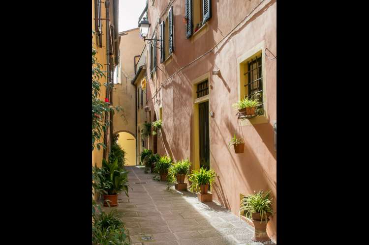 Bildet viser en liten, smal gate i sollys. Mange potter med grønne planter. Midt i landsby i gangavstand til feriebostedet La Pergola ved Pisa i Toscana. 