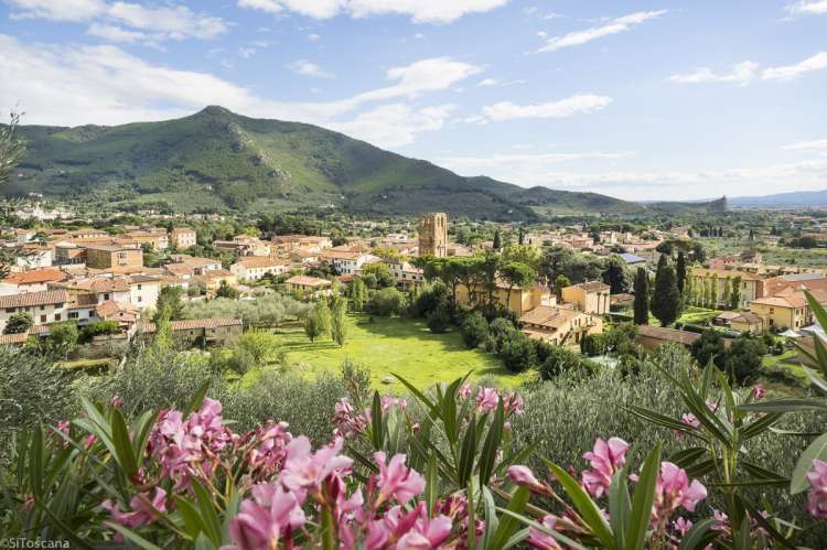 Bildet viser blomster og utsikt fra Villa Vista i Toscana.
