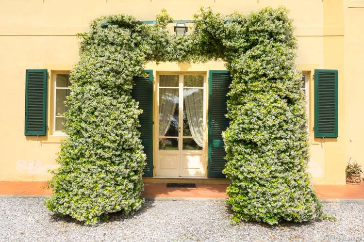 Bildet viser pergola over inngangsdør til stor villa ved Pisa i Toscana.