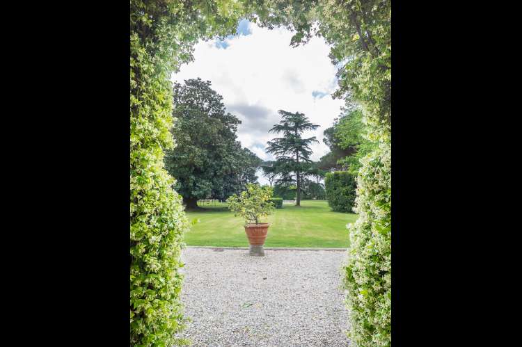 Bildet viser jasminhekk utenfor herskapelig villa ved Pisa i Toscana.