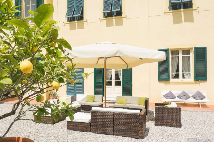 Bildet viser sitrontrær på terrassen utenfor villa ved Pisa i Italia.