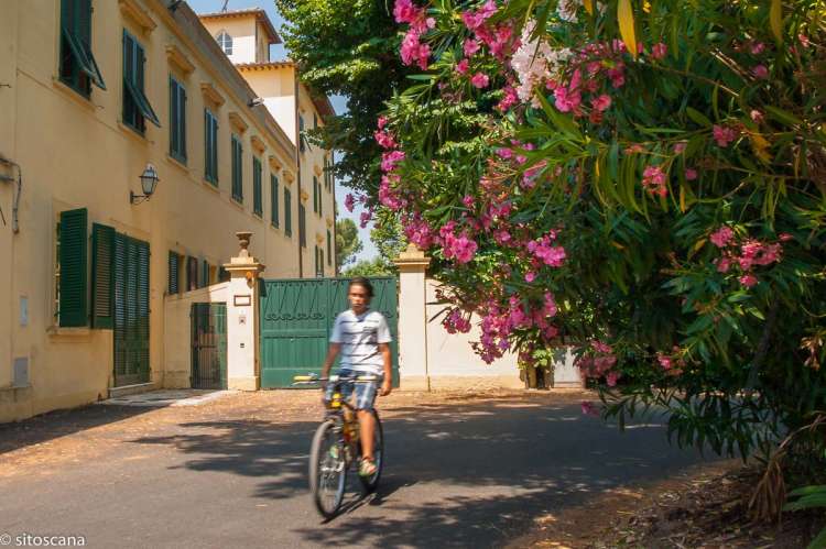 Bildet viser inngangspartiet og porten til feriehuset som ligger sentralt i Toscana.