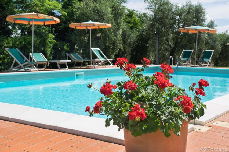 Bilde av blosterkrukke ved svømmebassenget på vingården Terra di Toscana. Sol og sommer.