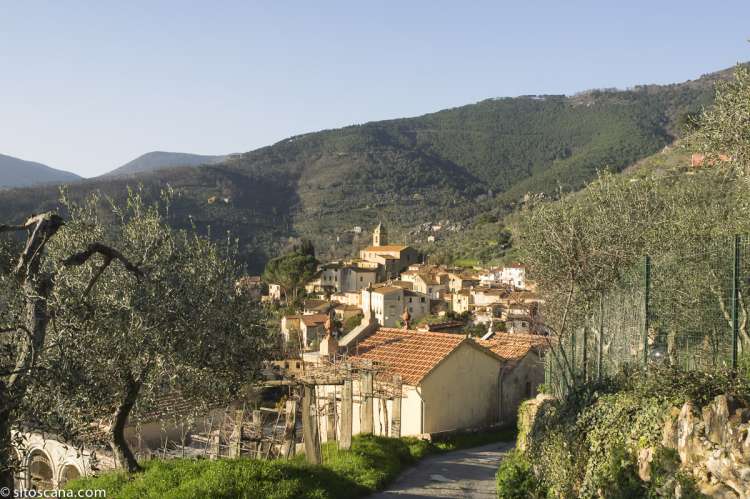 En av skogsveiene inn til landsbyen Montemagno. Her er det tilrettelagt for fotturer i åsene. En av skogsveiene inn til landsbyen Montemagno. Her er det tilrettelagt for fotturer i åsene. Bilde