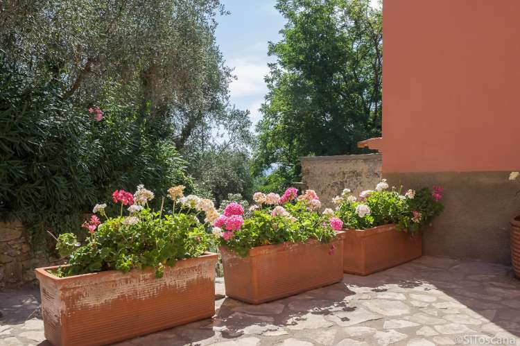 Bildet viser blomster i terrakottapotter på terrassen utenfor ferieleiligheten Casa Rosa i Toscana.