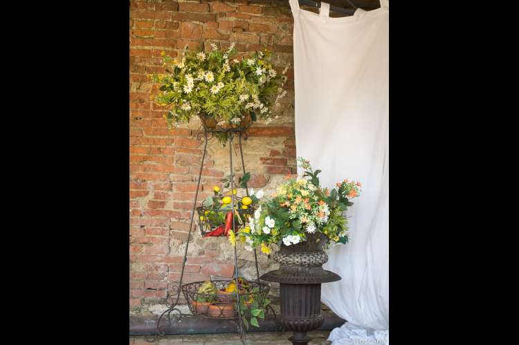 Bildet viser blomster utenfor vakker villa til utleie i Toscana.