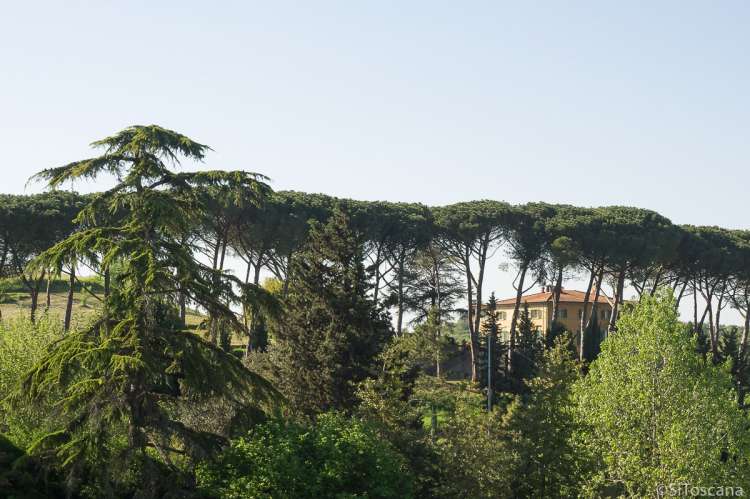 Bildet viser Villa Sole sett fra landsbyen. Villa formidlet av SiToscana i hjertet av Toscana.
