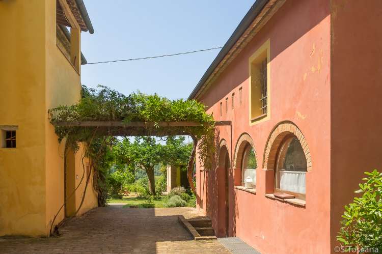 Bildet viser pergola mellom steinhus på olivengård med ferieleiligheter nært Pisa og kysten.