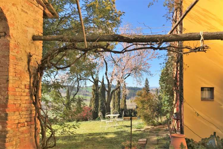 Bildet viser uteplass under pergola på olivengård med ferieleiligheter i Toscana.