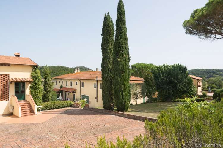 Bildet viser sypresser og ferieleiligheter på toskansk vingård.