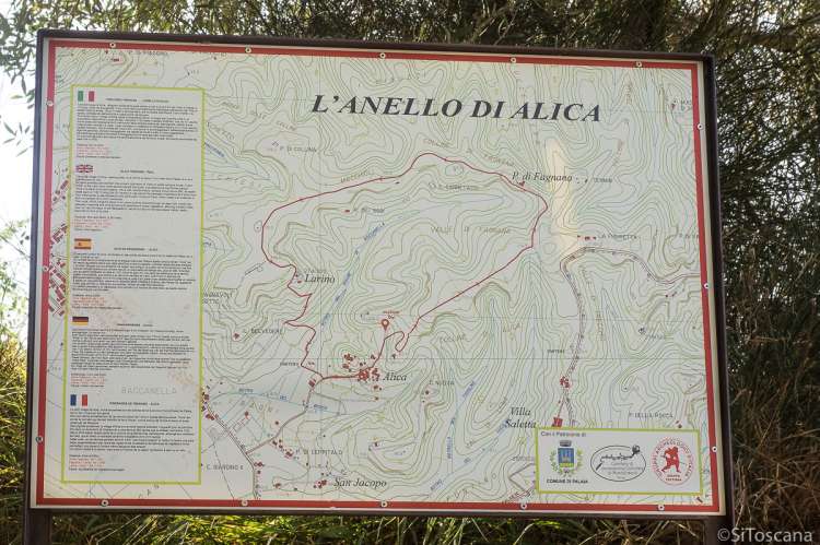 Bildet viser turkart ved vingård i Italia.