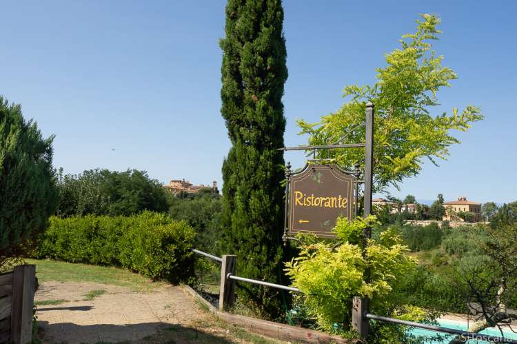 Bildet viser sypresse i hagen til feriehus i Toscana.