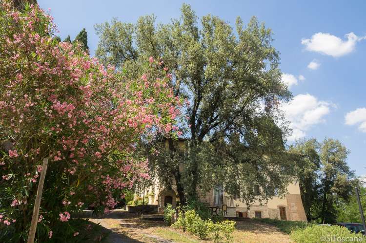Bildet viser villa med ferieleiligheter i Toscana.