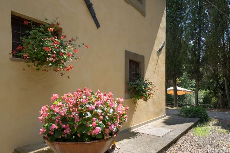Bildet viser blomster i hagen utenfor stort feriehus med privat basseng i Toscana.