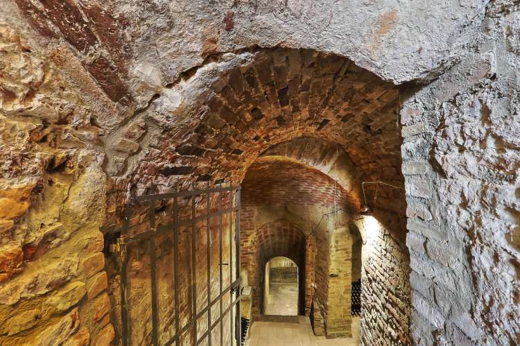 Bildet viser vinkjeller på vingård med utsikt nært Pisa i Italia.