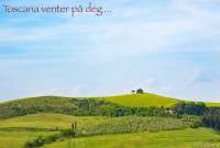 Bildet viser et vakkert bølgende landskap med grønne åser og blå himmel. Bildet er tatt i Toscana en dag i mai.
