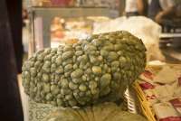 Bildet viser et knudrete gresskar lagt opp for salg i Matmarkedet i Firenze – Mercato Centrale