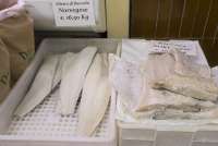 Bildet viser fisk fra Norge klar til salg i Matmarkedet i Firenze – Mercato Centrale