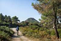 Bildet viser mann som sykler på terrengsykkel på skogsbilvei ovenfor Calci og Montemagno, rett ved toppen La Verrucca, like utenfor Pisa.