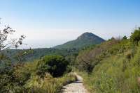Bildet viser litt av turveien opp mot Il Faro. Bildet er tatt ovenfor Verruca, fjelltoppen som ligger ved Montemagno.