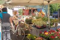 Bildet viser en markedsbod som selger blomster på markedet i Calci.