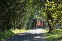 Bildet viser en vakker del av en av de merkede vinveiene i Toscana.