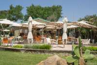 Bildet viser spisestedet som ligger rett ved bilettluka på badelandet Sunlight Park. Uteservering i grønne omgivelser med store parasoller.