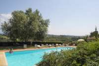 Utsikt fra bassenget. Bassenget med hekk og trær på vingården Podere Cenni utenfor San Miniato. Foto.