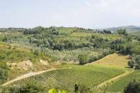 Utsikt fra gården. Utsikten fra vingården Podere Cenni utenfor San Miniato. Foto.