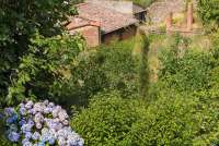 Landskapet omkring landsbyen er frodig. Bildet viser et hav av hortensia i bakkehellingen. Utsikt til Pisa og kysten med badestrender.