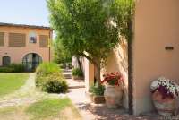 Foto viser de velholdte gangveiene rundt om på vingården. Blomster i krukker.