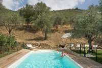 Bildet viser basseng i olivenlunden til ferieboligen Villa Noce i Italia.