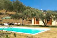 Bildet viser Villa Noce med basseng, parasoll og oliventrær.